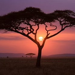 ESTEP Consulting - site icon